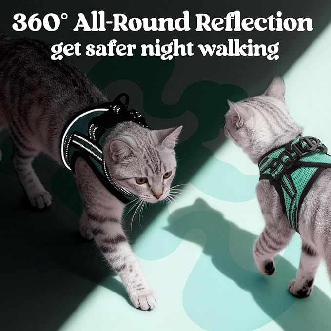 rabbitgoo Cat Harness and Leash, Step-in Escape Proof Kitten Harness Set, Soft Comfortable Cat Vest, Easy to Wear and Adjust, Reflective for Safe Outdoor Walking, Green, X-Large