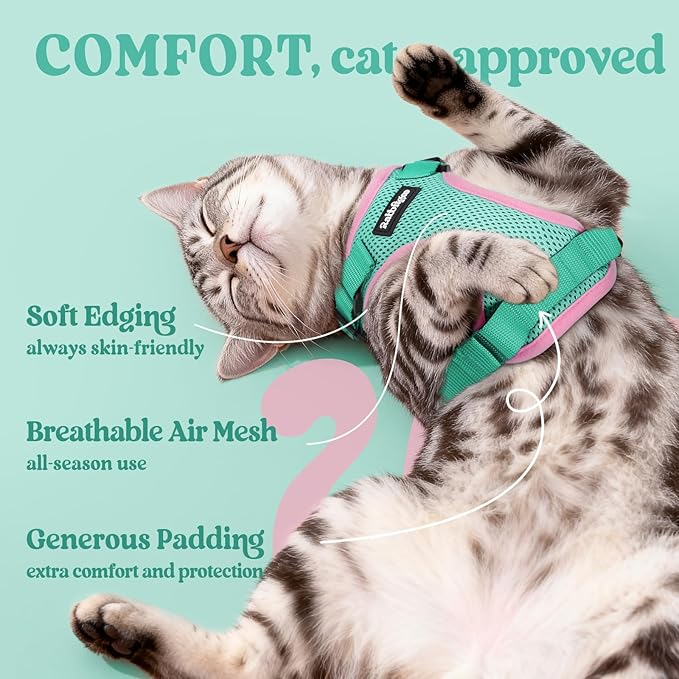 rabbitgoo Cat Harness and Leash Set, Escape Proof Vest Harness for Safe Outdoor Walks, Soft Breathable Adjustable Vest with Reflective Strips for Average to Large Cats, Green & Pink, M