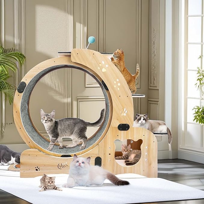 Cat Wheel, 4-in-1 Cat Exercise Wheel, Upgraded Cat Treadmill Wheel Exerciser for Indoor Cats, Large Cat Treadmill Running Wheel with Silent Wheel, Cat Walking Wheel Cat Furniture Cat Toys