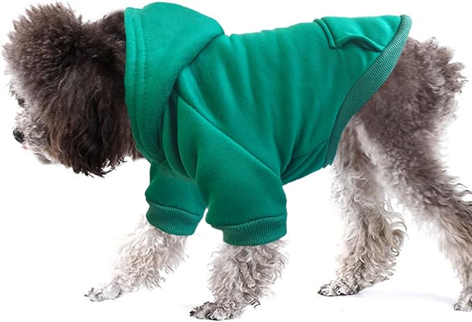 Jecikelon Soft Dog Hoodies for Small Dogs, Fleece Puppy Sweatshirt with Pockets, Warm Winter Cold Weather Coats for Pet Cat, Cute Clothes Puppy Costume (Green, XX-Small)