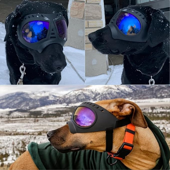 Large Dog Goggles Pet Eyes Protection for Medium to Large Breed, Windproof Snowproof UVproof Dog Sunglasses for Outdoor Hiking/Cycling/Driving, Soft Frame Adjustable Straps, Clear Blue Lens
