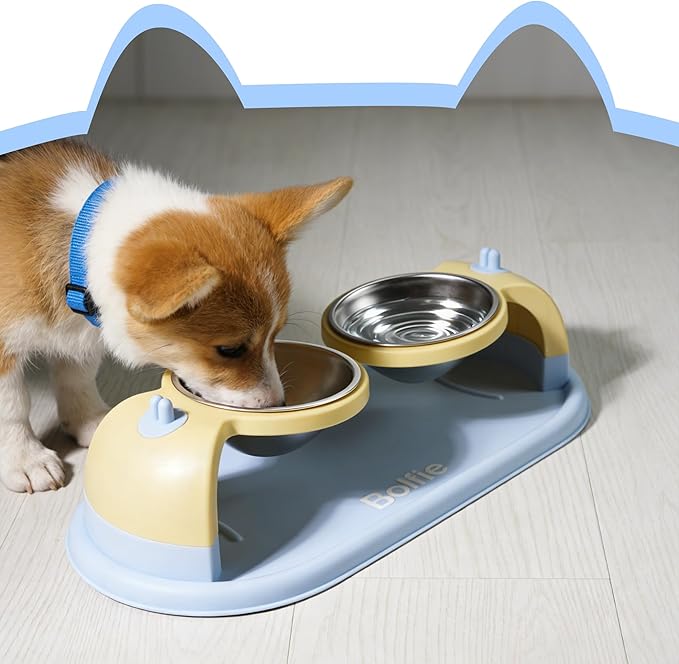 Elevated Stainless Steel Pet Bowls for Cats, 2-in-1 Food and Water Feeder with Non-Slip Base, with Spill-Proof Mat for Small Pets