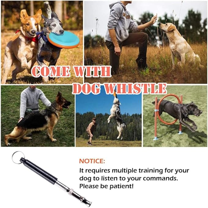 Dog Agility Training Equipment Set, Puppy Jump Training Obstacle Course Starter Kit Pet Agility Outdoor Games Dog Outdoor Games with Tunnel, Weave Poles, Adjustable Hurdle, Jump Ring