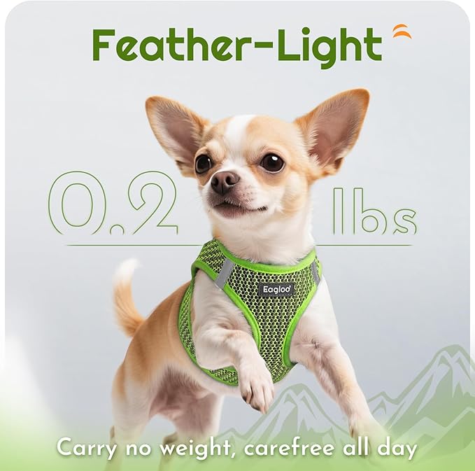 Eagloo Small Dog Harness and Leash Set, Step in Puppy Vest with Breathable Soft Mesh, Walking Reflective Pet Harness for Medium Small Dogs, Green, M