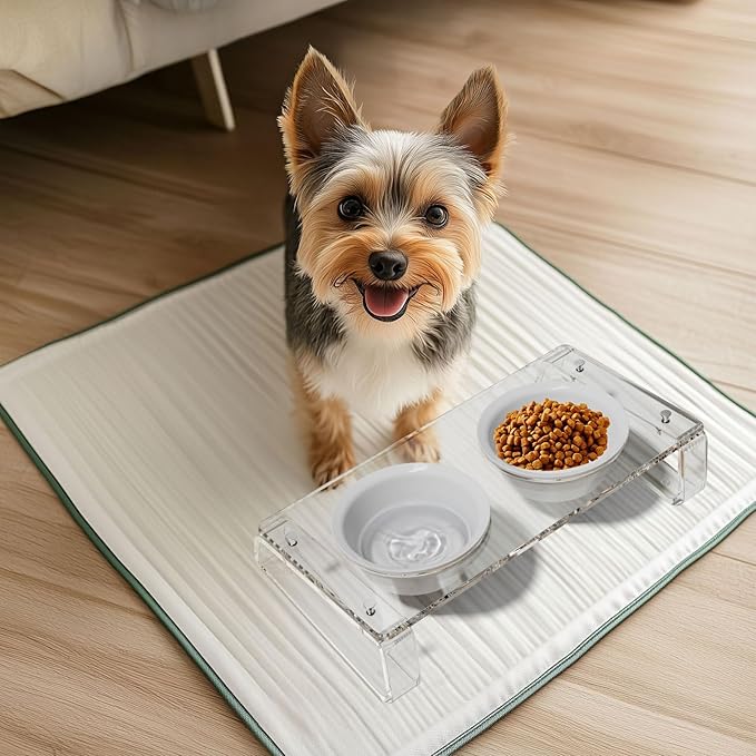 AITEE Elevated Cat Food Bowl, Ceramic Raised and Tilted Water Bowl, Non-Slip Ceramic Dog Bowls for Puppy and Kitten Cats 45.8 OZ