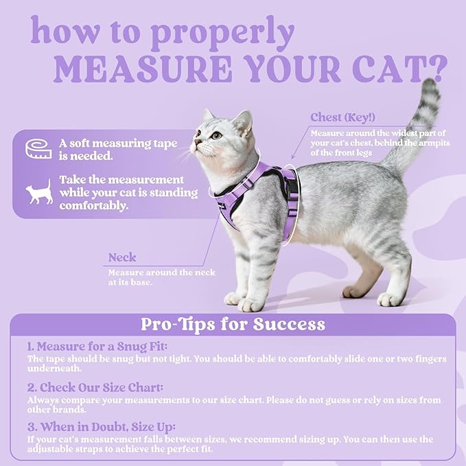 rabbitgoo Cat Harness and Leash Set, Escape Proof Vest Harness for Safe Outdoor Walks, Soft Breathable Adjustable Vest with Reflective Strips for Average to Large Cats, Light Purple, M