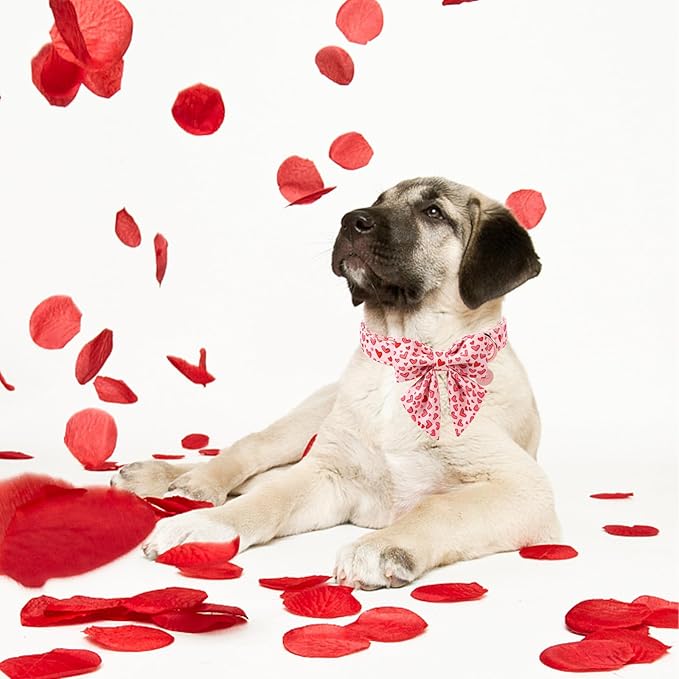 Valentine's Dog Collar & Bow Tie Set,UP URARA PUP Soft & Comfortable Pet Collar with Premium Plastic Buckle for Small, Medium, Large Dog,L
