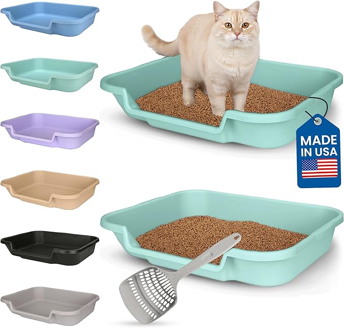KittyGoHere Senior Cat Litter Box, Large Litter pan with Long-Handle Jumbo Scoop, Open Top Low Entrance Kitty Litter Box, Lightweight Low Entry Litters Box, Durable, Made in USA (2 Pack - Green)