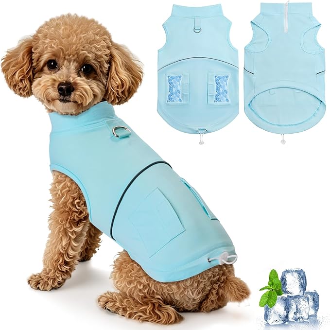 Cooling Vest for Small Dogs with Ice Packs Summer Dog Cooling Vest Soft Stretchable Pet Shirts Clothes with D Ring Reflective, Medium (10-20lbs)