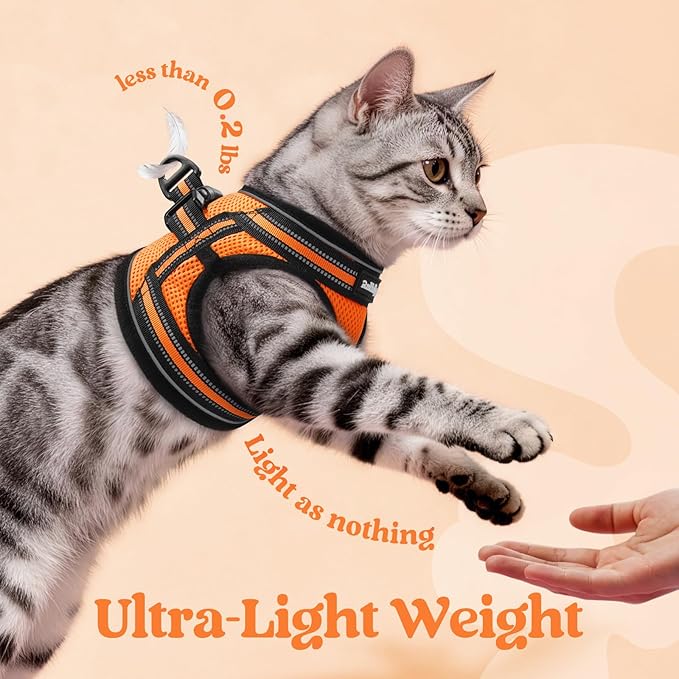 rabbitgoo Cat Harness and Leash, Step-in Escape Proof Kitten Harness Set, Soft Comfortable Cat Vest, Easy to Wear and Adjust, Reflective for Safe Outdoor Walking, Light Orange, Medium