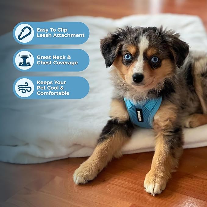 Best Pet Supplies Voyager Step-in Lock Pet Harness w Reflective Pet Leash Combo Set with Neoprene Handle 5ft - Supports Small, Medium and Large Breed Puppies/Cats - Baby Blue Set, L