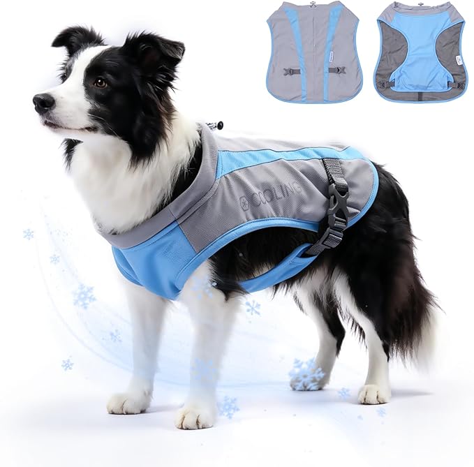 Mora Pets Dog Cooling Vest for Summer Lightweight Breathable UPF 50 Sun Protection Evaporative Cooling Adjustable Fit with Hidden Leash Access for Small Medium Large Dogs Light Gray Blue L