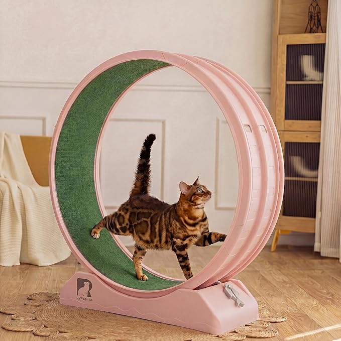 Cat Exercise Wheel, 39.4 Inch Indoor Treadmill for Cats with Carpeted Runway, Screw-Fixed Assembly for Easy Setup, Silent & Safe Fitness Equipment for Most Cats