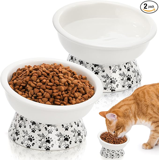 2 Pack Ceramic Elevated Cat Bowls, 6" Extra Wide Tilted Raised Pet Dish, Whisker Friendly Food and Water Bowl for Small Dogs, Anti Vomiting & Protect Pet's Spine, Microwave Dishwasher Safe