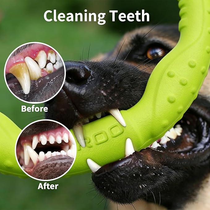 LaRoo Dog Flying Ring Toys, Floating Flying Disc Toys, Summer Pet Training Outdoor Durable Chew Toys for Medium and Large Dogs (Medium Green/22cm)
