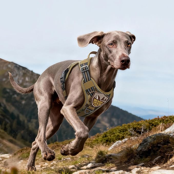 rabbitgoo Tactical Dog Harness for Large Dogs No Pull Adjustable Military Vest with Handle MOLLE Reflective Heavy Duty Dog Vest for Walking Training Hunting Outdoor Medium Size Dog Desert Camo L