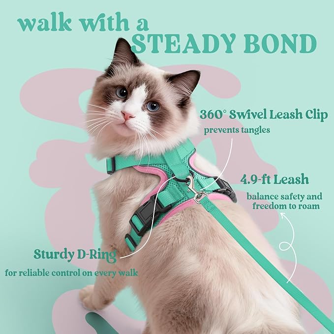 rabbitgoo Cat Harness and Leash Set, Escape Proof Kitten Harness for Safe Outdoor Walks, Soft Breathable Adjustable Vest with Reflective Strips for Kittens and Extra Small Cats, Green & Pink, XXS