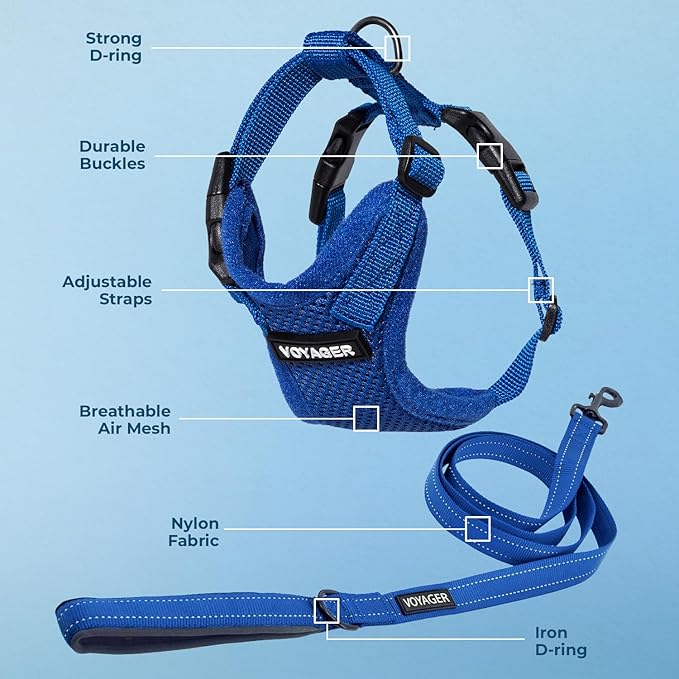Best Pet Supplies Voyager Step-in Lock Pet Harness w Reflective Pet Leash Combo Set with Neoprene Handle 5ft - Supports Small, Medium and Large Breed Puppies/Cats - Royal Blue, XL