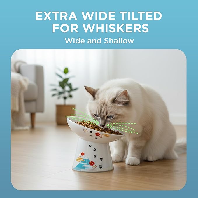 Necoichi Elevated Cat Food Bowl, Ceramic (Porcelain),15° Tilted, Whisker-Friendly, Dishwasher, Microwave Safe, Non-Slip, Anti-Vomiting, Neck Fatigue (Fuji, Extra Wide Tilted, 1.5-Cups Capacity)