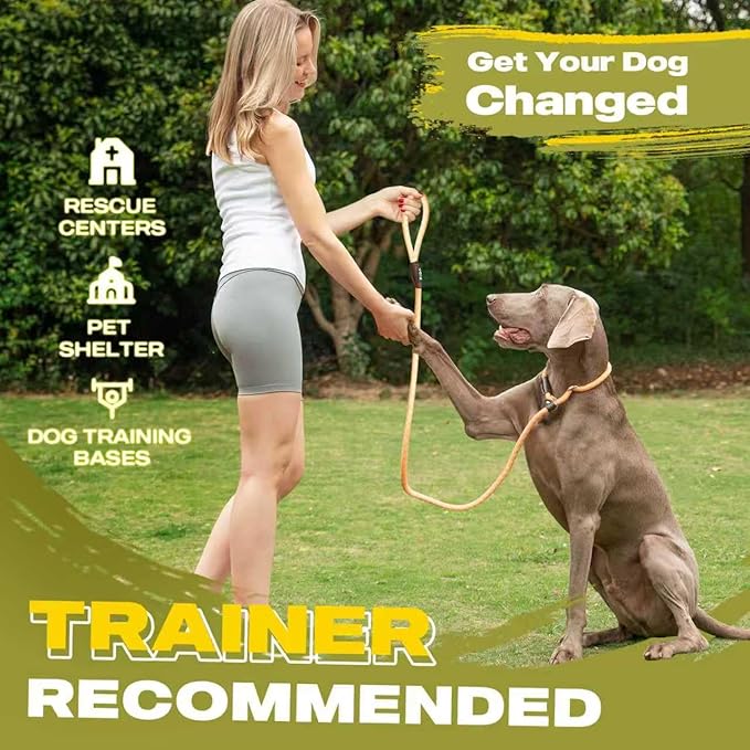 Fida Slip Leads for Dogs, 4 FT x 1/2" Dog Leash Heavy Duty Comfortable Strong Rope Lead for Large, Medium Dogs, No Pull Pet Training Leash with Highly Reflective,Orange