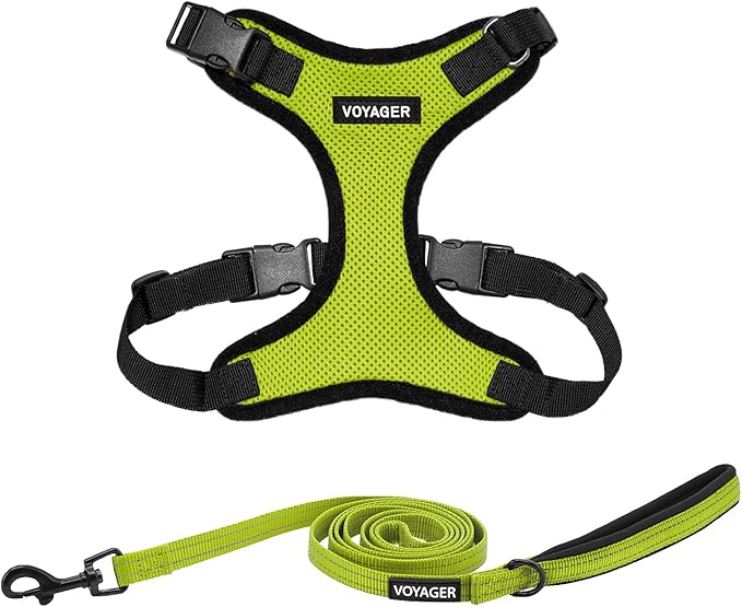 Best Pet Supplies Voyager Step-in Lock Pet Harness w Reflective Pet Leash Combo Set with Neoprene Handle 5ft - Supports Small, Medium and Large Breed Puppies/Cats - Lime Green/Black Trim, S