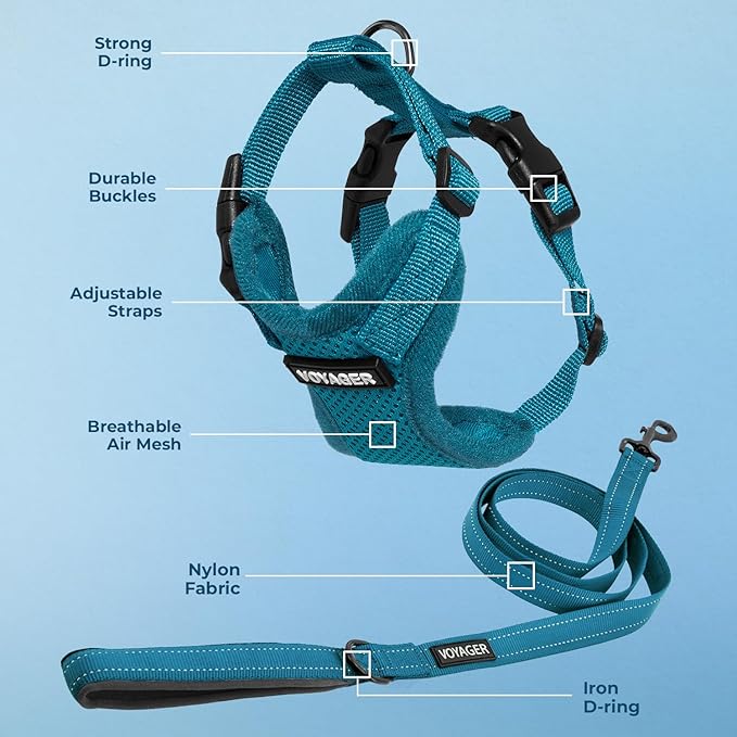 Best Pet Supplies Voyager Step-in Lock Pet Harness w Reflective Pet Leash Combo Set with Neoprene Handle 5ft - Supports Small, Medium and Large Breed Puppies/Cats - Turquoise Set, L