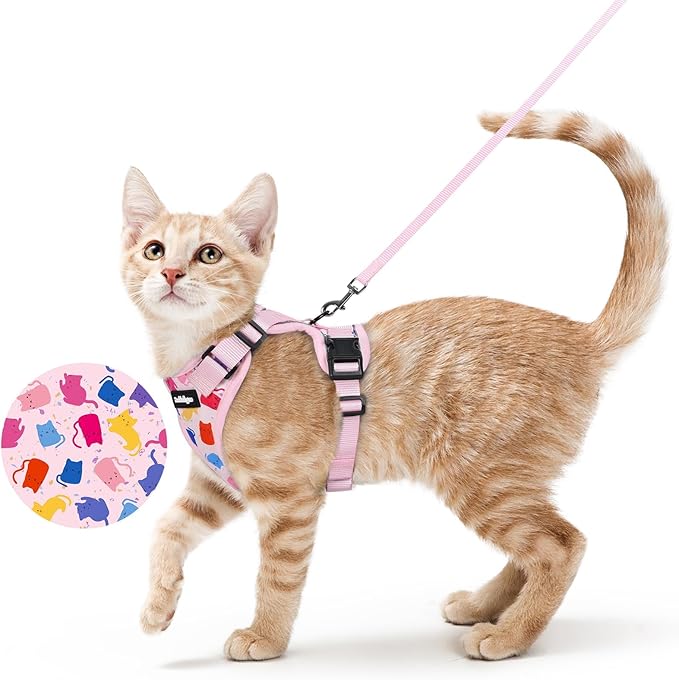 rabbitgoo Cat Harness and Leash Set, Escape Proof Vest Harness for Safe Outdoor Walks, Soft Breathable Adjustable Vest with Reflective Strips for Small and Average Cats, Purrty Pink, S