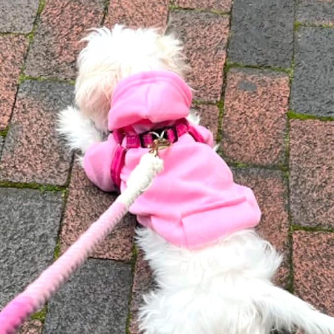 JJecikelon Soft Dog Hoodies for Small Dogs, Fleece Puppy Sweatshirt with Pockets, Warm Winter Cold Weather Coats for Pet Cat, Cute Clothes Puppy Costume (Pink, Medium)