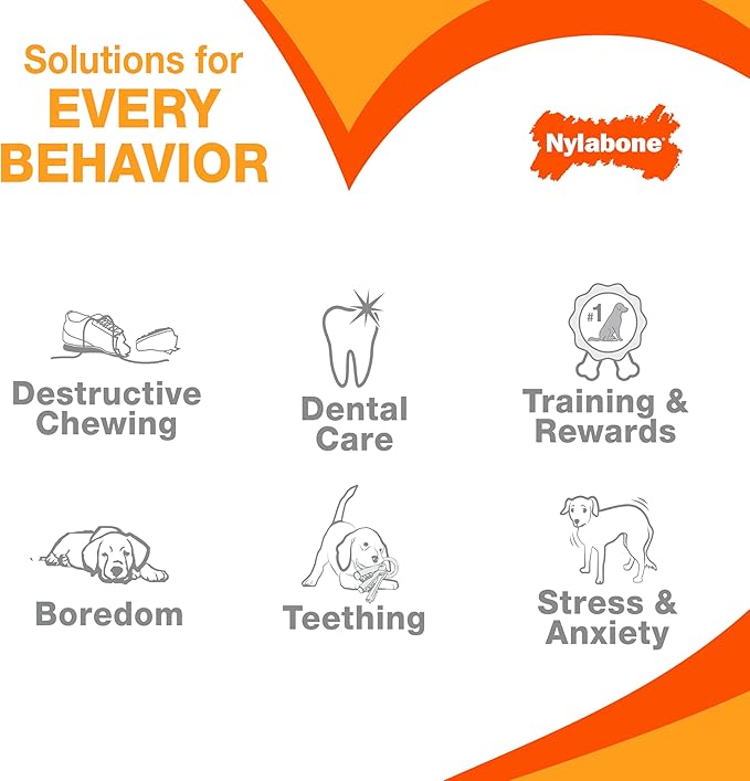 Nylabone Textured Dental Bone Flexi Chew Toy for Dogs, Dog Toys for Moderate Chewers, Chicken Flavor, Medium - Up to 35 lbs, 1 Count