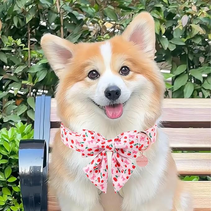 Spring and Summer Dog Collar with Bow Tie, Cherry Bowtie Collar Adjustable for Girl Boy Dog, Spring Pink Bow Collar for Dogs, M