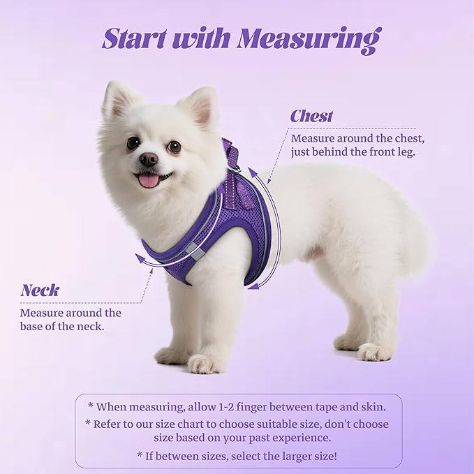 YIMEIS Dog Harness and Leash Set, No Pull Soft Mesh Pet Harness, Reflective Adjustable Puppy Vest for Small Medium Large Dogs, Cats (Purple, Medium (Pack of 1)