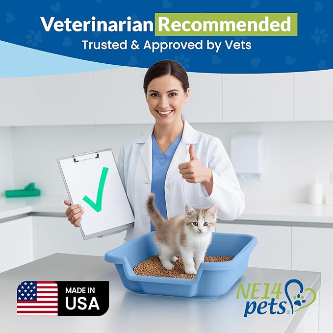 KittyGoHere Senior Cat Litter Box, Small Litter pan with Long-Handle Jumbo Scoop, Open Top Low Entrance Kitty Litters Box, Lightweight Low Entry Litter Box, Durable, Made in USA (2 Pack - Blue)