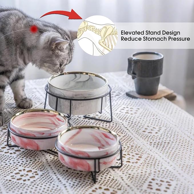 Dazzling Ceramic Elevated Cat Bowls, Gift for Cat Owner, Birthday (Medium,Grey)