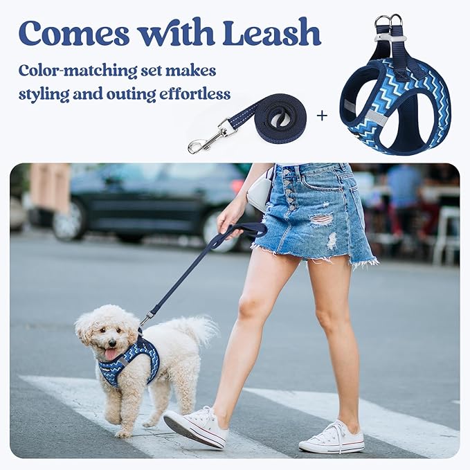 rabbitgoo Dog Harness Small Medium Sized and Leash Set, Step in Soft Light Puppy Vest, Breathable Mesh Pet Harness, Reflective for Safe Easy Walking, Blue Zigzag L