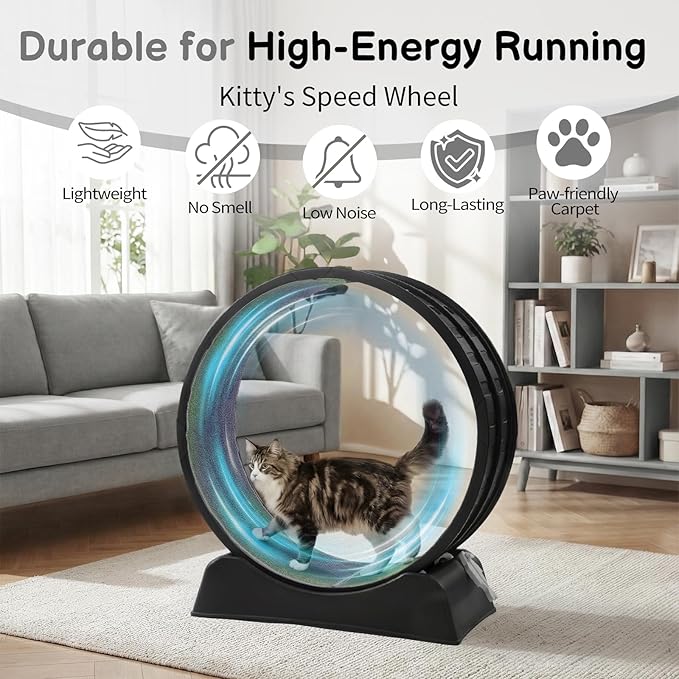 Outvita Cat Exercise Wheel for Indoor Cats, 31.5" Cat Treadmill with Detachable Carpet ＆ Locking Mechanism, Cats Running Wheel Helps Cats to Lose Weight and Keep Health, Easy Assembled (Black)