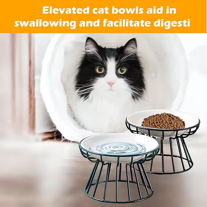 Ceramic Cat Bowls with Metal Stand,2 Pack Elevated Cat Bowl Raised Kitten Food&Water Feeding Shallow Dish for Indoor Cats,Puppies,Small Dogs
