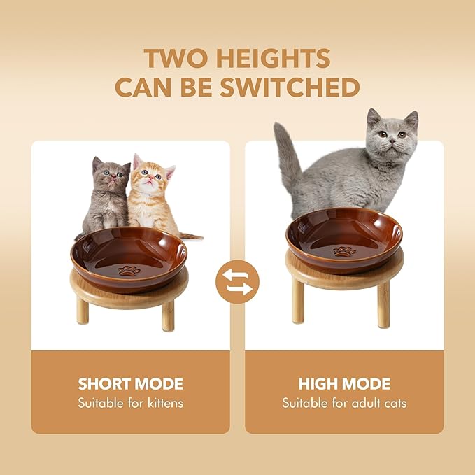 Havniva Elevated Cat Bowls Raised Ceramic Cat Bowl, 5.9” Wide Opening Cat Food Bowl Whisker Friendly Cat Dish Anti-Slip with Bamboo Stand, Shallow Pet Food & Water Bowl for Indoor Cats