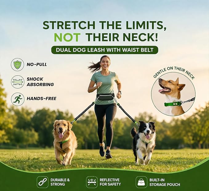 Hands-Free Dog Leash for 2 Dogs - Dual Tangle-Free Running Leash with Shock Absorbing Bungee, Padded Handles, & Waist Belt Pouch - Freedom No Pull Dog Harness Compatible
