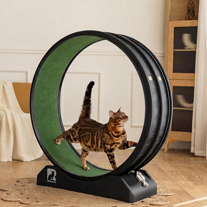 Cat Exercise Wheel, 39.4 Inch Indoor Treadmill for Cats with Carpeted Runway, Screw-Fixed Assembly for Easy Setup, Silent & Safe Fitness Equipment for Most Cats