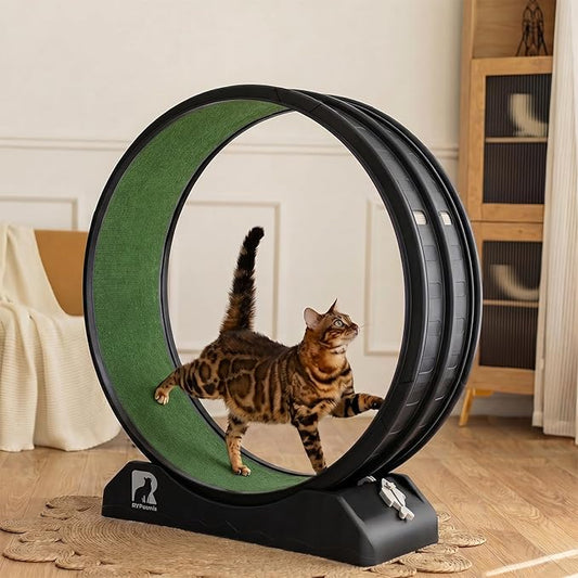 Cat Exercise Wheel, 39.4 Inch Indoor Treadmill for Cats with Carpeted Runway, Screw-Fixed Assembly for Easy Setup, Silent & Safe Fitness Equipment for Most Cats