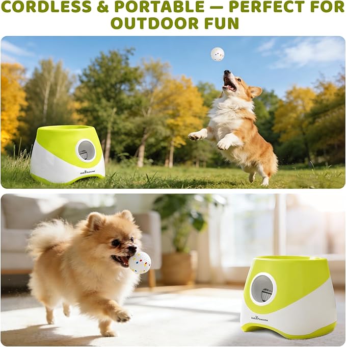 TeqHome Automatic Ball Launcher for Dogs, Interactive Dog Ball Thrower with 6 PCS 2.17" ETPU Balls, 3 Adjustable Distance Settings (20-46FT), Indoor Outdoor Fetch Trainer Toy for Small & Medium Dogs