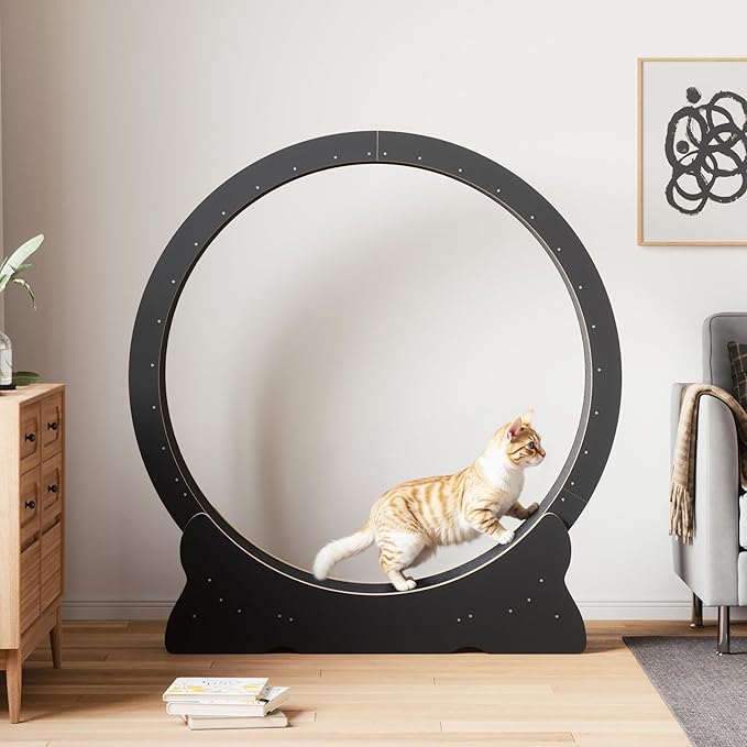 Mondeer Cat Exercise Wheel, 46'' Cat Wheel for Indoor Cats with Carpeted Runway, XL Treadmill with Removable Carpet and Teaser, for Running Walking Training (Black)