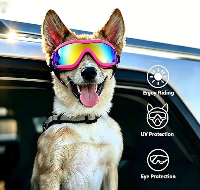 LESYPET Dog Goggles Large Breed, UV Wind Dust Protection Large Dog Sunglasses Eye Protection, Eye Wear Pet Glasses with Adjustable Strap for Outdoor Riding, L