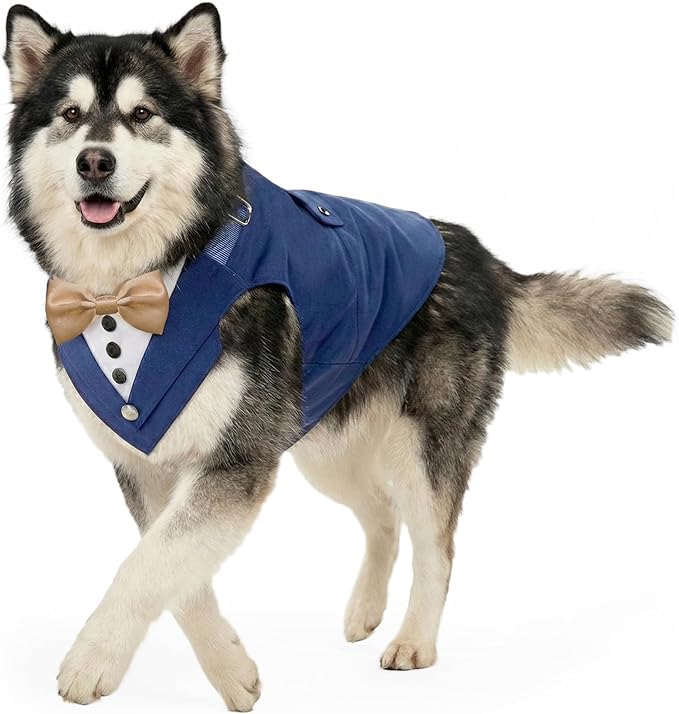 AVERYDAY 2 Pcs Dog Tuxedo & Bandana Set, Dog Suit Costume with Bowtie for Wedding Outfit, Pet Tux Harness with Leash Ring for Party Birthday Christmas, Formal Wear for Small Medium Large Breed