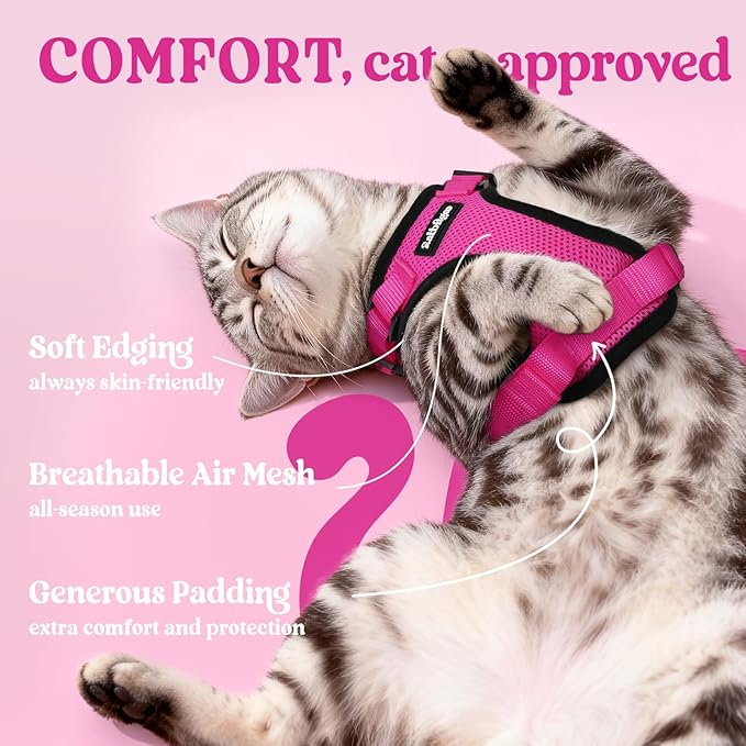 rabbitgoo Cat Harness and Leash Set, Escape Proof Vest Harness for Safe Outdoor Walks, Soft Breathable Adjustable Vest with Reflective Strips for Average to Large Cats, Rose Red, M