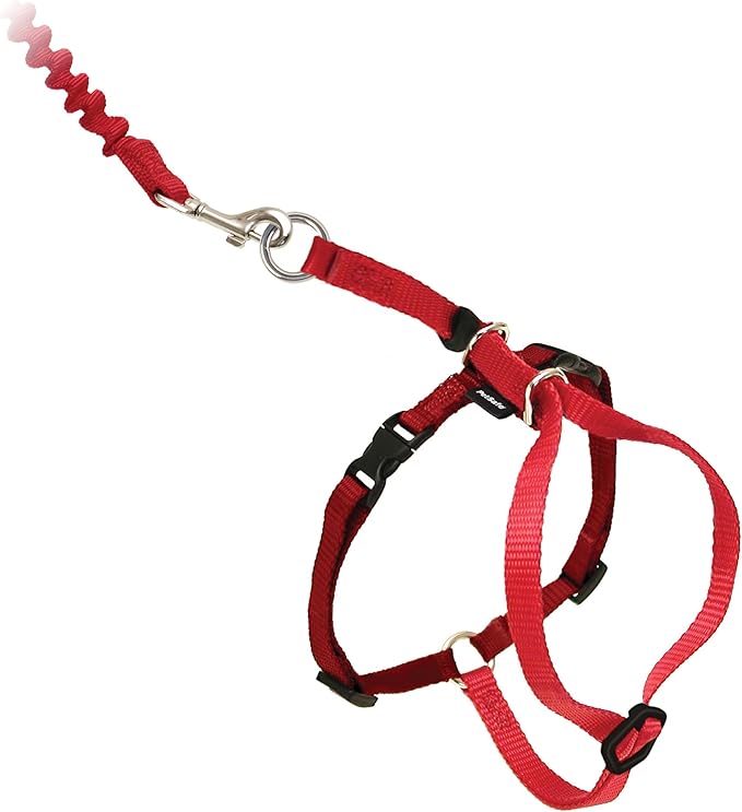 PetSafe Come with Me Kitty Harness and Bungee Leash Adjustable, Lightweight Harness for Cats Large, Red