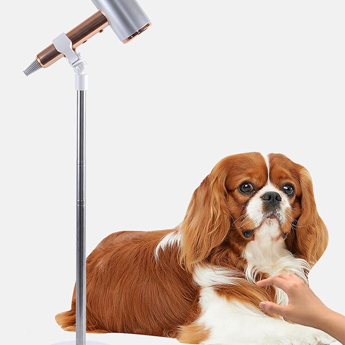 Adjustable Dog Hair Dryer Stand, Pet Grooming Hair Dryer Holder with Stable Base, Multifunctional Blow Dryer Stand for Home and Salon Use, Compatible with Most Dryers