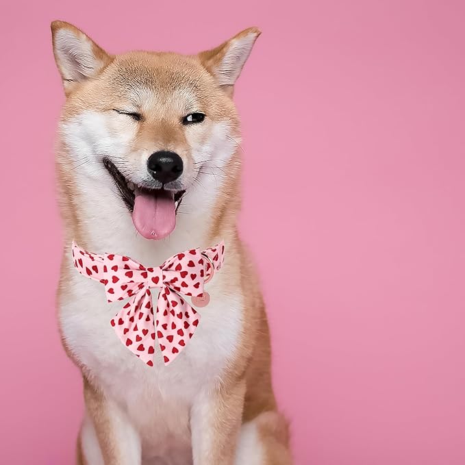 Valentine's Dog Collar & Bow Tie Set,UP URARA PUP Soft & Comfortable Pet Collar with Premium Plastic Buckle for Small, Medium, Large Dog,XS