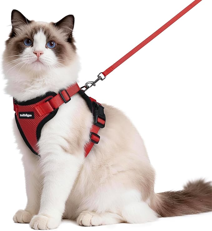 rabbitgoo Cat Harness and Leash Set, Escape Proof Vest Harness for Safe Outdoor Walks, Soft Breathable Adjustable Vest with Reflective Strips for Average to Large Cats, Red, M