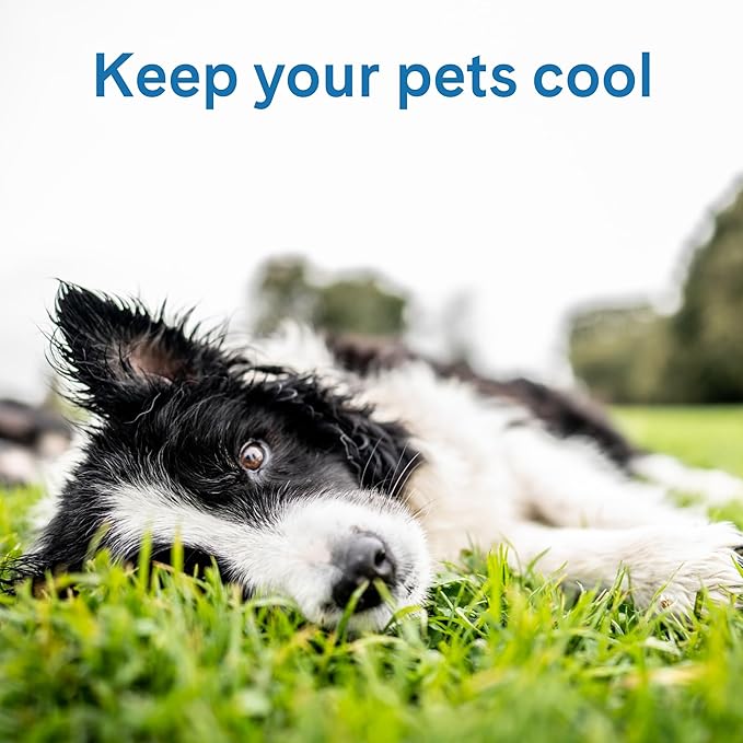 The Green Pet Shop Cool Pet Pad - Extra Large, Latte- Self-Cooling, Pressure Activated Mat for Dogs & Cats from 80+ lbs - Non-Toxic Gel, No Water Needed